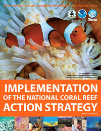 Implementation of the National Coral Reef Action Strategy: Report on NOAA Coral Reef Conservation Program Activities from 2007 to 2009