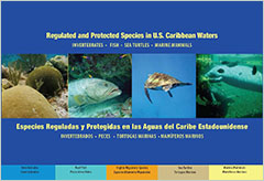 Cover - Regulated and Protected Species in U.S. Caribbean Waters: Invertebrates, Fish, Sea Turtles, Marine Mammals 