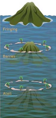 Graphic representaDarwin’s three stages of atoll formation. 