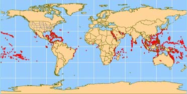 Major coral reef sites are seen as red dots on this world map. 