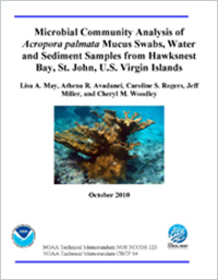 Microbial Community Analysis of Acropora palmata Mucus Swabs, Water and Sediment Samples from Hawksnest Bay, St. John, U.S. Virgin Islands