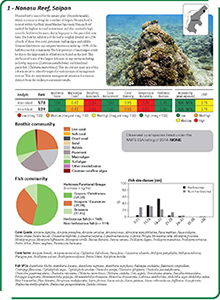 Cover - Southeast Florida Coral Reef Fishery-Independent Baseline Assessment: 2012-2014 Summary Report