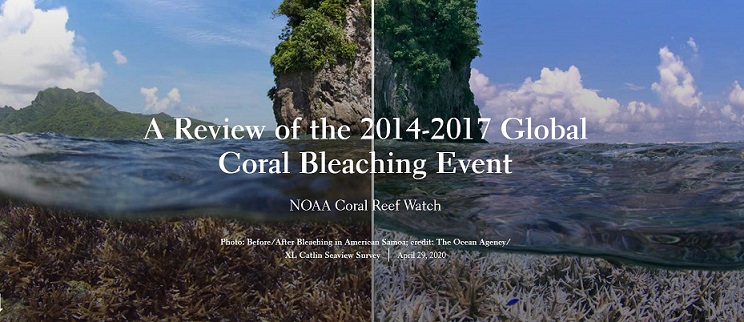 Before/After bleaching in American Samoa