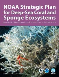 NOAA Strategic Plan for Deep-Sea Coral and Sponge Ecosystems: Research, Management, and International Cooperation