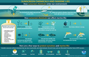 Sunscreen Chemicals and Marine Life - infographic