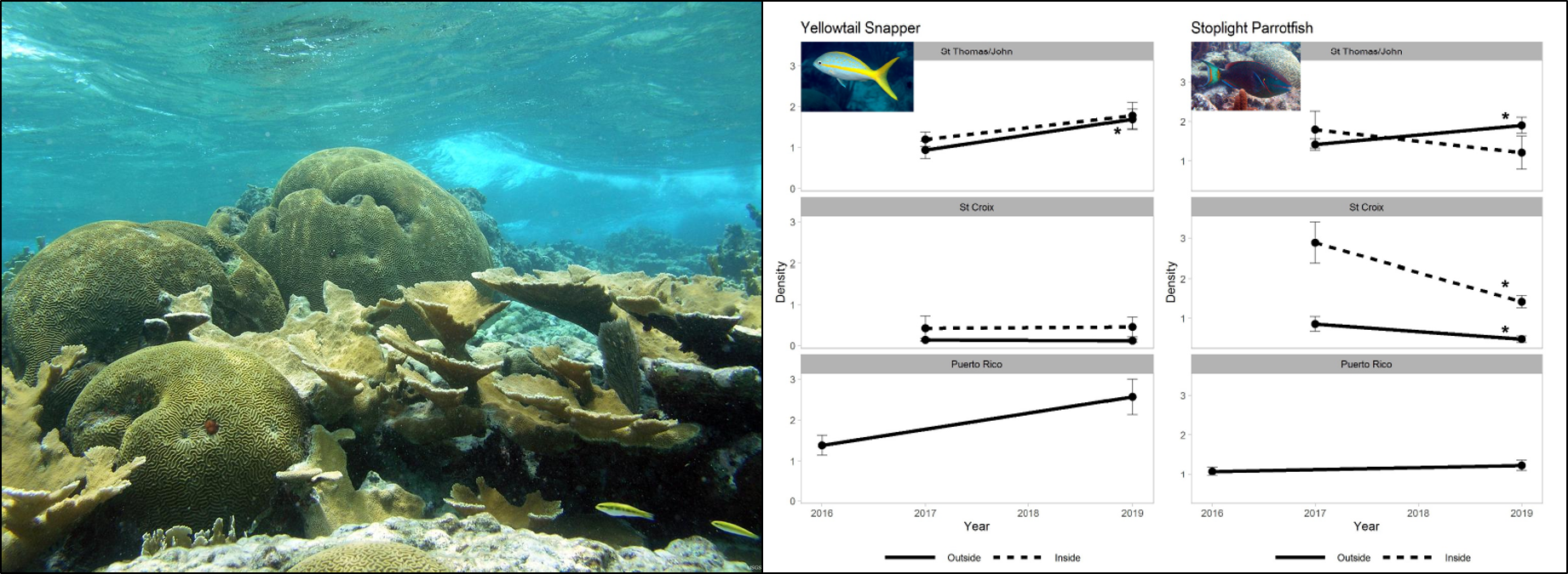 USVI corals (left) - Graph showing fish density changes by site/year (right)