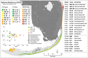 Composite resilience scores map for Florida