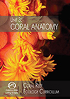 Coral anatomy unit cover image.