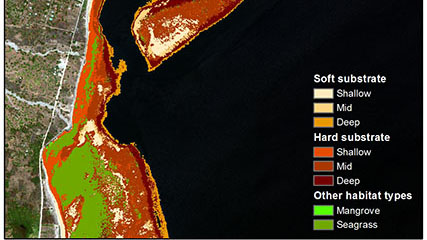 Benthic habitat data derived from the WorldView-2 satellite imagery.