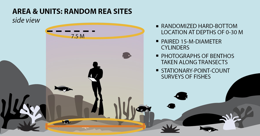 infographic of fish survey