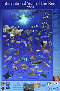 An image of a poster of the coral reef food web created by the Commonwealth of the Northern Mariana Islands in celebration of International Year of the Reef 2008.