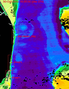 Cover - Coastal Turbidity on the Southeast Florida Shelf  Monitoring Turbid Water Sources and Fates by Satellite