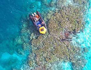 Cover - Coral Reef Conservation Program Strategic Plan: Our Vision for Thriving, Diverse and Resilient Coral Reef Ecosystems