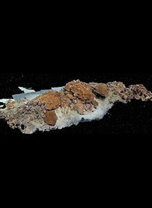 3D model of a coral reef on Oahu, Hawaii