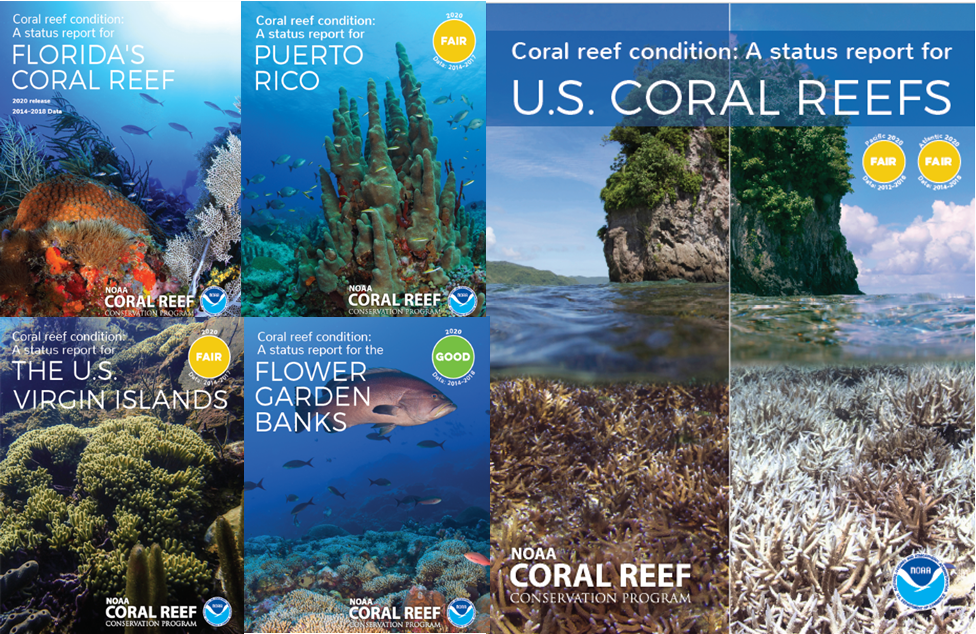Collage of rectangular boxes showing multi-colored reef scenes from the following jurisdictions: Florida, Puerto Rico, The U.S. Virgin Islands, Flower Garden Banks, and American Samoa.