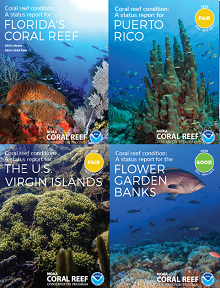 Collage of rectangular boxes showing multi-colored reef scenes from the following jurisdictions: Florida, Puerto Rico, The U.S. Virgin Islands, Flower Garden Banks, and American Samoa