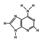 Diagram of adenine