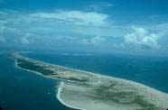 Image of barrier island