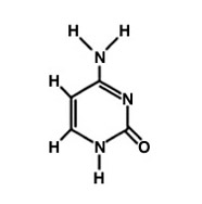 Diagram of cytosine