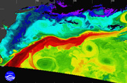 Image of Gulf Stream SST