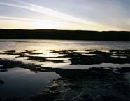 Image of mudflats