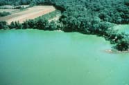 Image of Cyanobacteria bloom