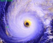 Image of hurricane derived from polar-orbiting sensor data
