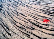 Image of sand and seagrass