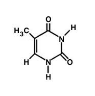 Diagram of thymine