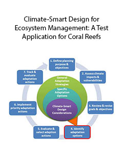 Illustration - The climate-smart conservation cycle with the CCAP compendium framework