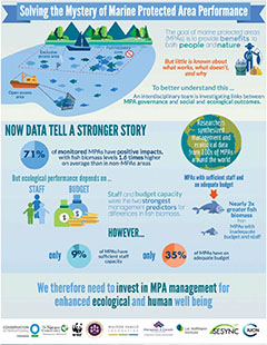 Capacity shortfalls hinder the performance of marine protected areas globally - cover page.