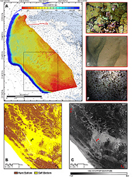 The Coral Reef Information System (CoRIS) Geoportal application provides centralized access to distributed Coral Reef Conservation Program publications, geospatial data, tools, applications and services.