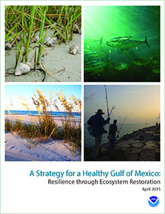 Cover - A Strategy for a Healthy Gulf of Mexico: Resilience Through Ecosystem Restoration
