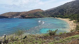 Hawaiian beach 