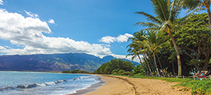 Kihei Beach, Maui, Hawai'i