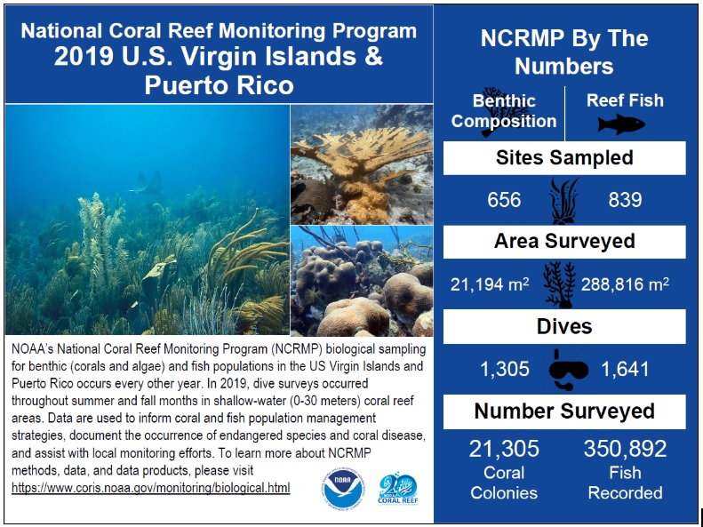 the biological data collected by the National Coral Reef Monitoring Program in the U.S. Virgin Islands and Puerto Rico during the 2019 field season