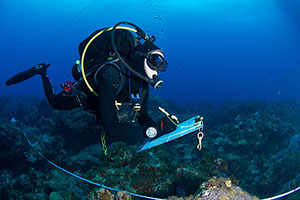 Diver performing a benthic survey.
